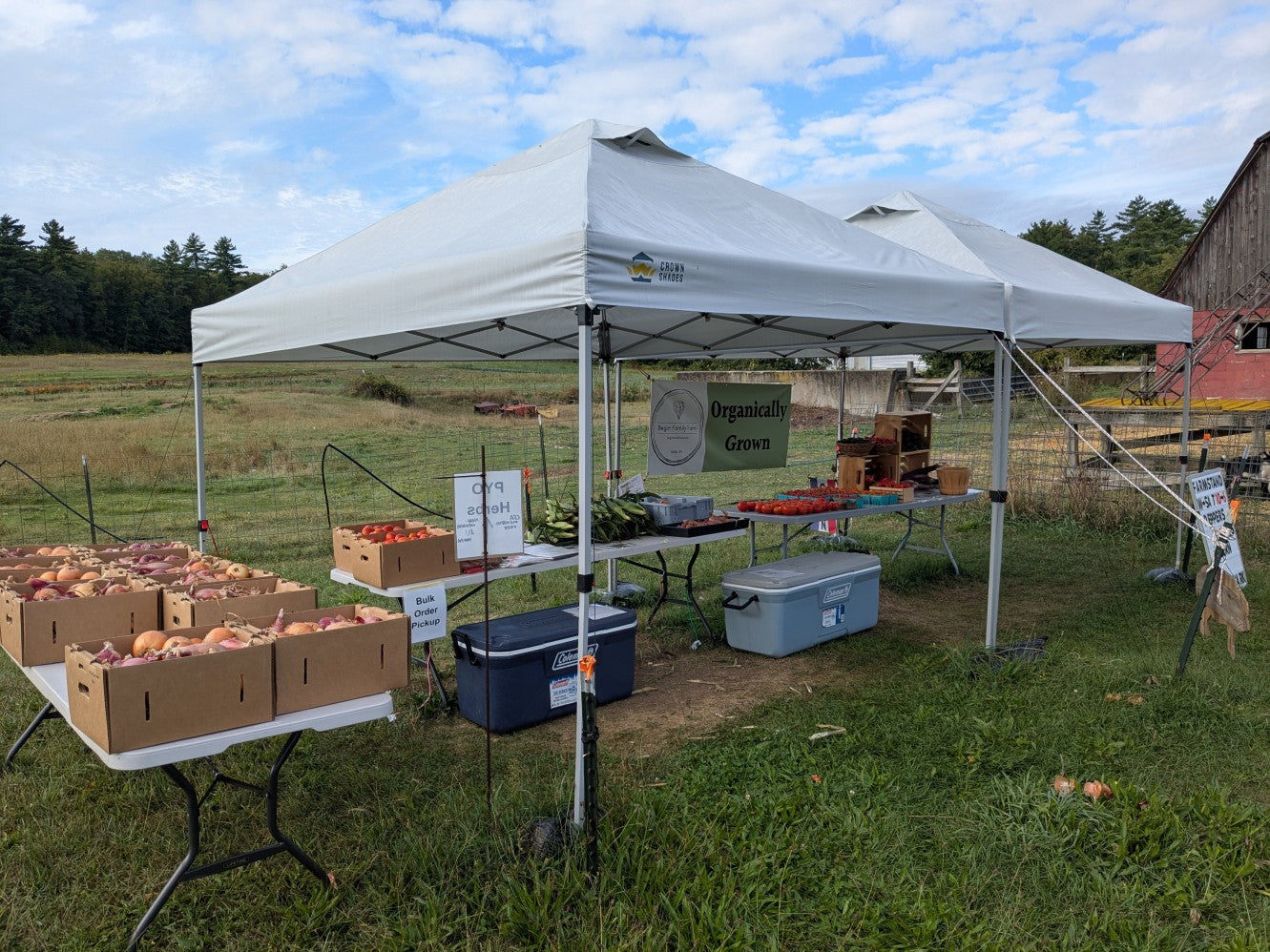 Fresh produce from Begin Family Farm